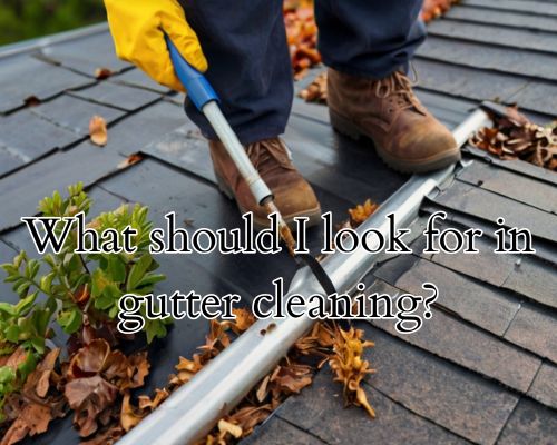 Tools in hand, cleaning gutters safely.